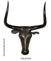 Toro-de-Costitx.jpg