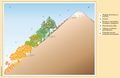 Espana Perfil-de-vegetacion-de-Sierra-Nevada 2017 ilustracion 16619 spa.jpg